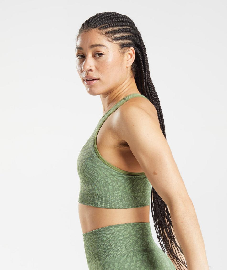 Sujetadores Deportivos Gymshark Adapt Animal Seamless Mujer Verde | CO 2054BEX